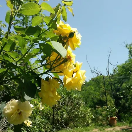 La Casa Di Nuccia 莱里奇